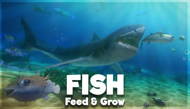Fish feed and grow barracuda